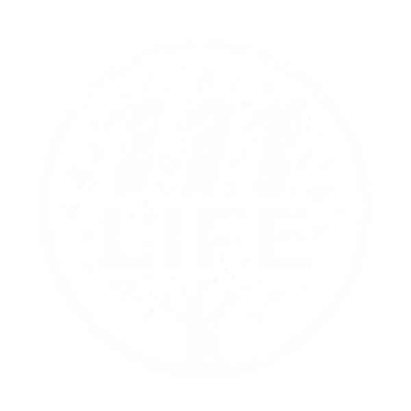 111 LIFE
